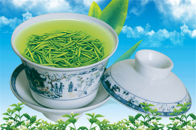 师敏哲茶叶 一片叶子的匠心与传承