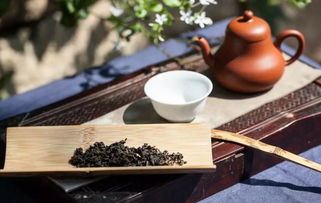 茶知识 苦涩味与茶品质有什么关系